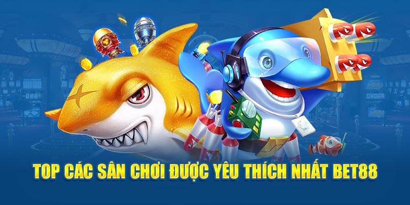 Top các sân chơi được yêu thích nhất