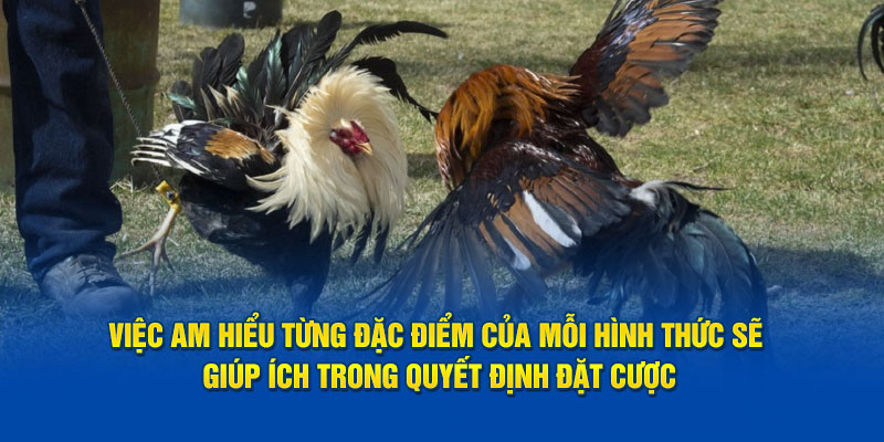 Việc am hiểu từng đặc điểm của mỗi hình thức sẽ giúp ích trong quyết định đặt cược